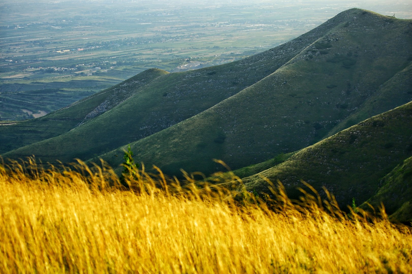 建筑工地扬尘污染治理