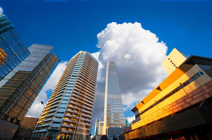 建设工程招标投标步骤