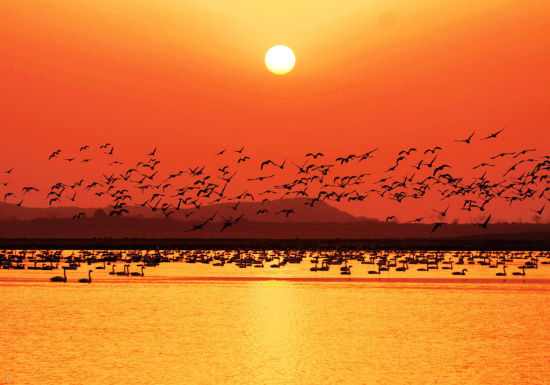 江西原则通过全面开展工程项目审批制度改革实施方案 江西原则通过全面开展工程项目审批制度改革实施方案