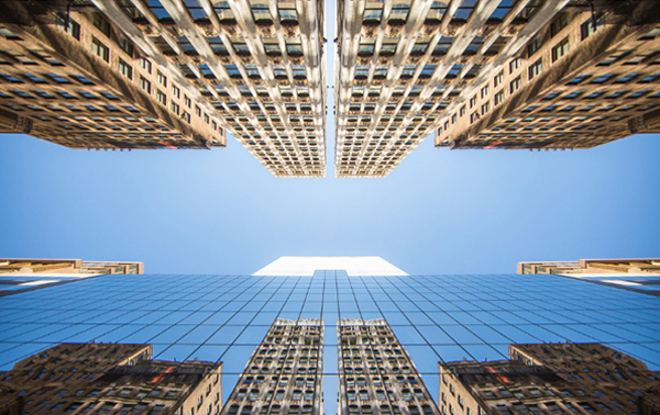 园林工程招投标