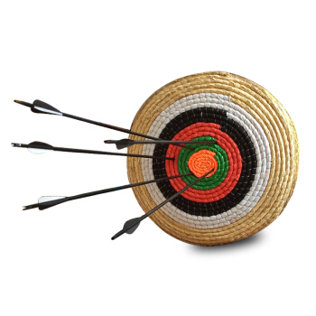 招投标案例分析