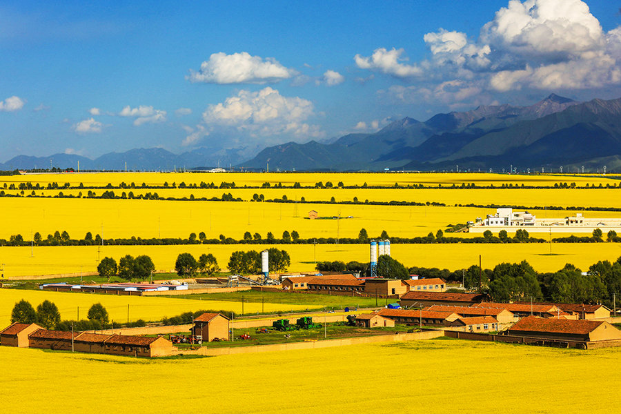 青海省重拳整治工程建设招投标乱象