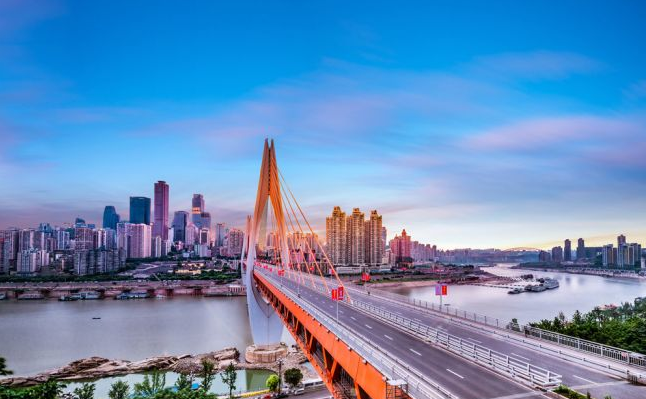 招投标基本概念